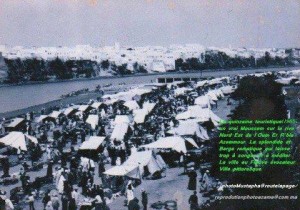 1240129_219861374846721_2095874404_n