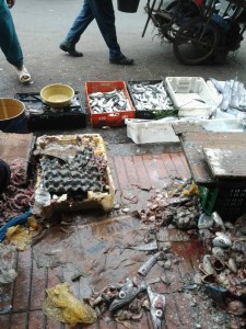 1240662_485413674888401_331846326_n