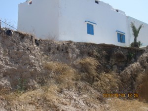 IMG_6325