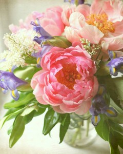 1479711_616454151753370_1014676831_n