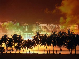 azemmour la nuit sous les palmiers