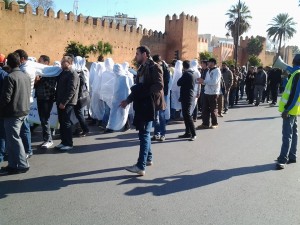 1488421_273614286128471_716087694_n