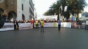 1555692_274126936077206_934867337_n