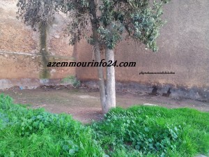 Azemmour Coin du Saour en toilette 2014