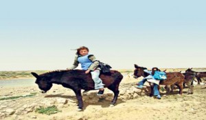 élève sur âne pour école