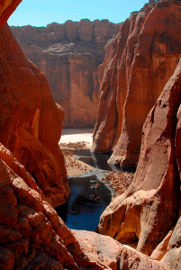 مئات الإبل يوميًا في قوافل لشرب المياه 4