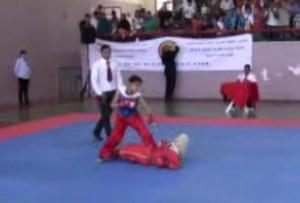 Capture 20140628-000857