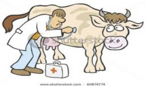 Super1site_V_500_caow