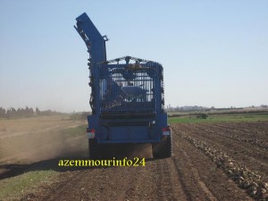 arrachage mecanique 014