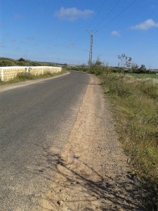 10534632_1526710297557694_834711128884204240_n