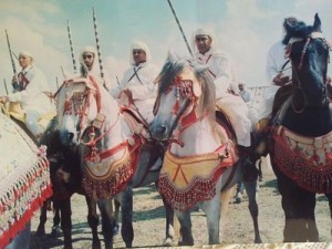 10628399_283757411824590_4811477987855959832_n