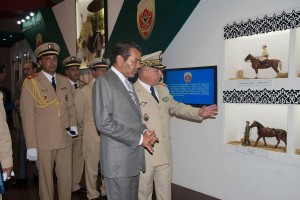 10726601_284934685036698_1136914705_n