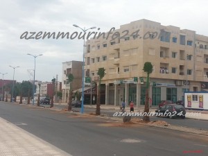 plantation arbre azemmour