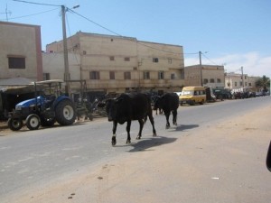 622_dyn_1353942445-281451898624029-800358829-n