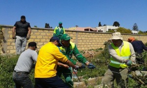 11092627_1568415520081938_46657868_n