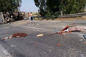 accident_jdida4_660059623