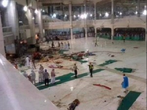 11181730_724276134370784_2385612298117233531_n