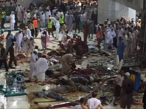 12009568_724276184370779_873969305894236347_n