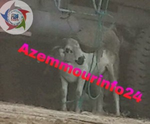 PicsArt_09-24-08.51.15