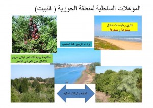 12108735_903185213092902_7057940257693367347_n