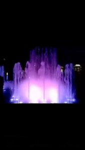 12278188_10207127583181068_1326764160_n