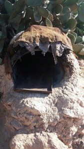 12325368_10207725130879387_1166770515_n