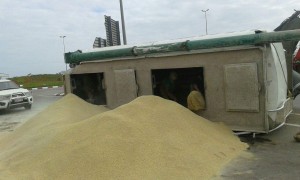 received_1683596448563844