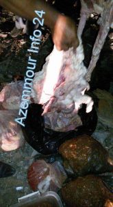 received_1636441863312468