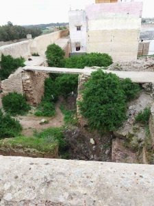 FB_IMG_1490899274262