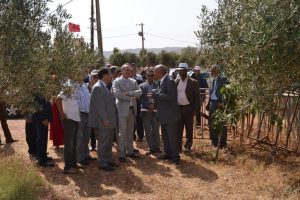 received_1325389314165334