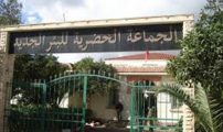 تسونامي انتخابي جارف يراهن على مجلس بلدية البيرالجديد في محطة 2021 تسونامي انتخابي جارف يراهن على مجلس بلدية البيرالجديد في محطة 2021
