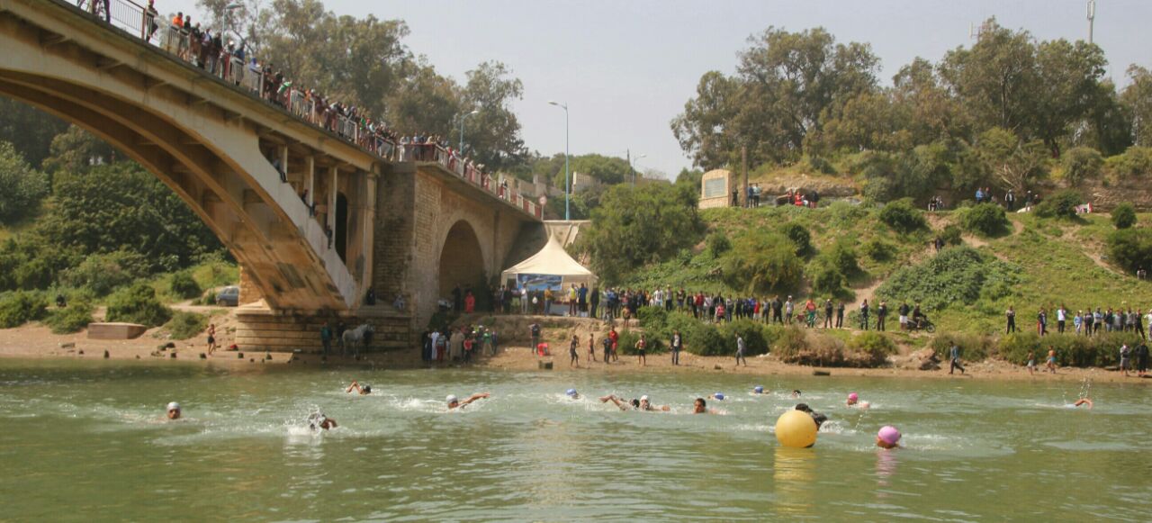 نادي ام الربيع للسباحة بازمور ينظم عدة مسابقات بمناسبة اليوم العالمي للرياضة