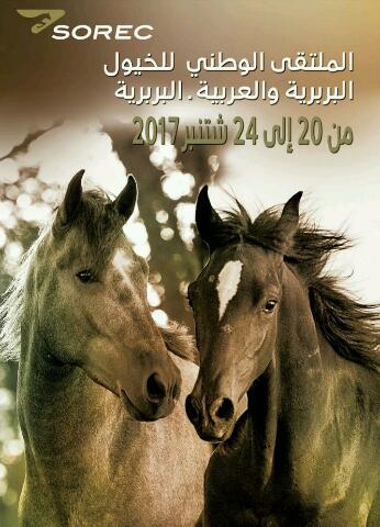 تكريم الحصان البربري والعربي البربري  الشركة الملكية لتشجيع الفرس تطلق الدورة الأولى للملتقى الوطني للخيول البربرية والعربية البربرية