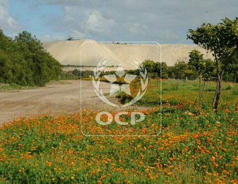 مجموعة OCP تطلق آلية “المثمر لخدمات القرب” من أجل مواكبة متميزة للفلاحين