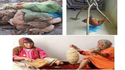 عيد الاضحى و تدهور بعض الانشطةالتقليدية المرتبطة به