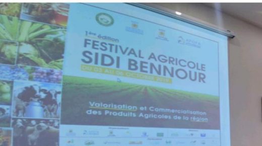 المعرض المهني لتربية الماشية بسيدي بنور