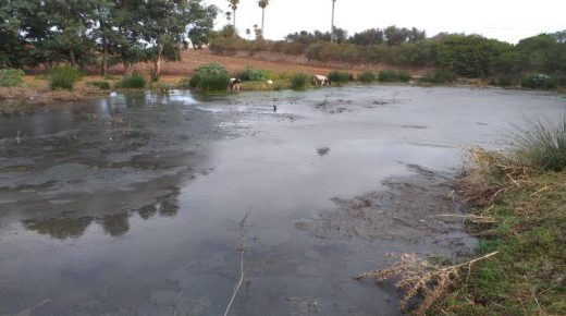 غياب محطة معالجة المياه العادمة يؤرق الساكنة السالمية