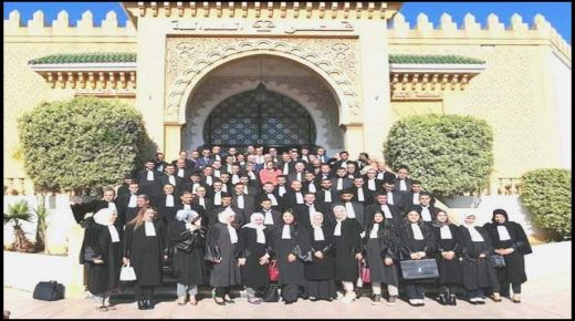 هيئة المحامين بدائرة استئنافية الجديدة تتعزز بقاعدة عريضة من الكفاءات المهنية.