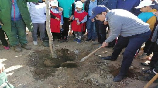 الجديدة :عامل إقليم الجديدة يشرف على نشاط بيئي لتهيئة و تشجير الحديقة المقابلة لمدرسة عبد المومن الموحدي بحي السعادة.