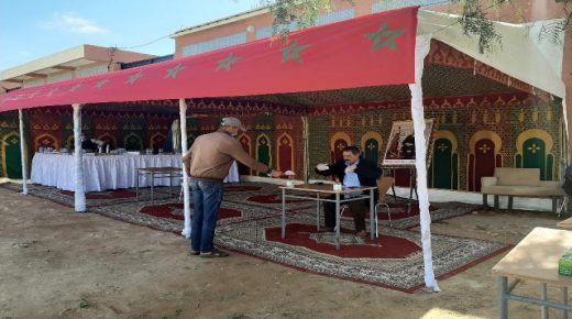 استفادة جهة الدار البيضاء – سطات من حصة 250 ألف قنطار من الشعير المدعم كشطر أول لفائدة مربي الماشية