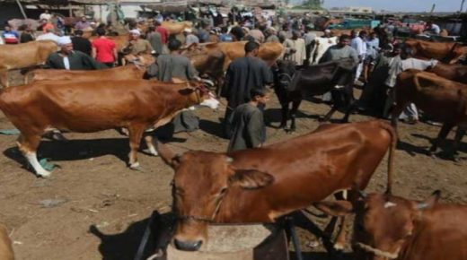 سوق حد السوالم يفتح أبوابه ابتداء من الأحد القادم.