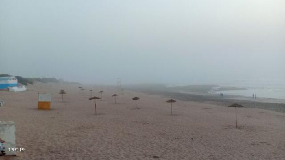 البرنامج الوطني لرصد جودة مياه الاستحمام والرمال للشواطئ المغربية ملخص النتائج : طبعة 2020