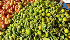 ارتياح كبير بسيدي بنور بعد قرار تراجع السلطات عن تحويل السوق الاسبوعي للمدينة.