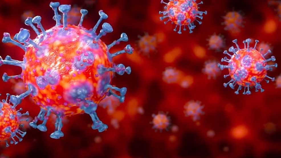 المغرب يعلن اكتشاف أول حالة إصابة واردة بالسلالة المتحورة  لفيروس كورونا المستجد