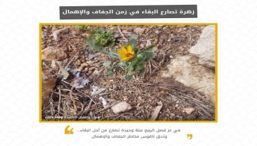 مباراة التصوير الفوتوغرافي للشباب بالجديدة