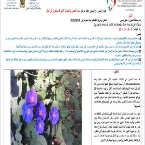 inbound4680562879602310559  - اَزمور انفو 24