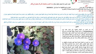 حد السوالم: ثانوية اولاد احريز الغربية تدخل غمار مسابقة الصحفيين الشباب