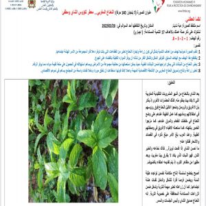 inbound7908111510075396928  - اَزمور انفو 24