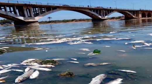 لجنة بمجلس النواب تستعد لبدء مهمة استطلاعية بشأن مصب نهر أم الربيع