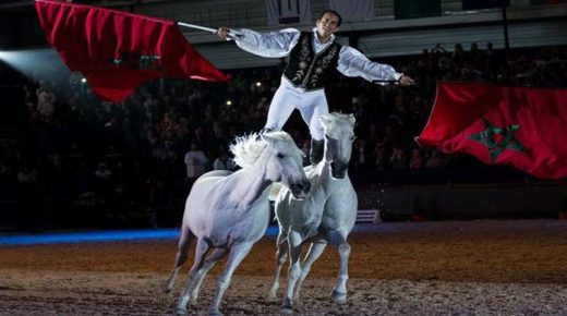 اختتام فعاليات معرض الفرس للجديدة في نسختها الثالثة عشرة